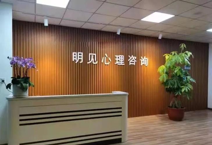 潮州市明見心理科技信息咨詢服務 以專業之光，照亮心靈深處